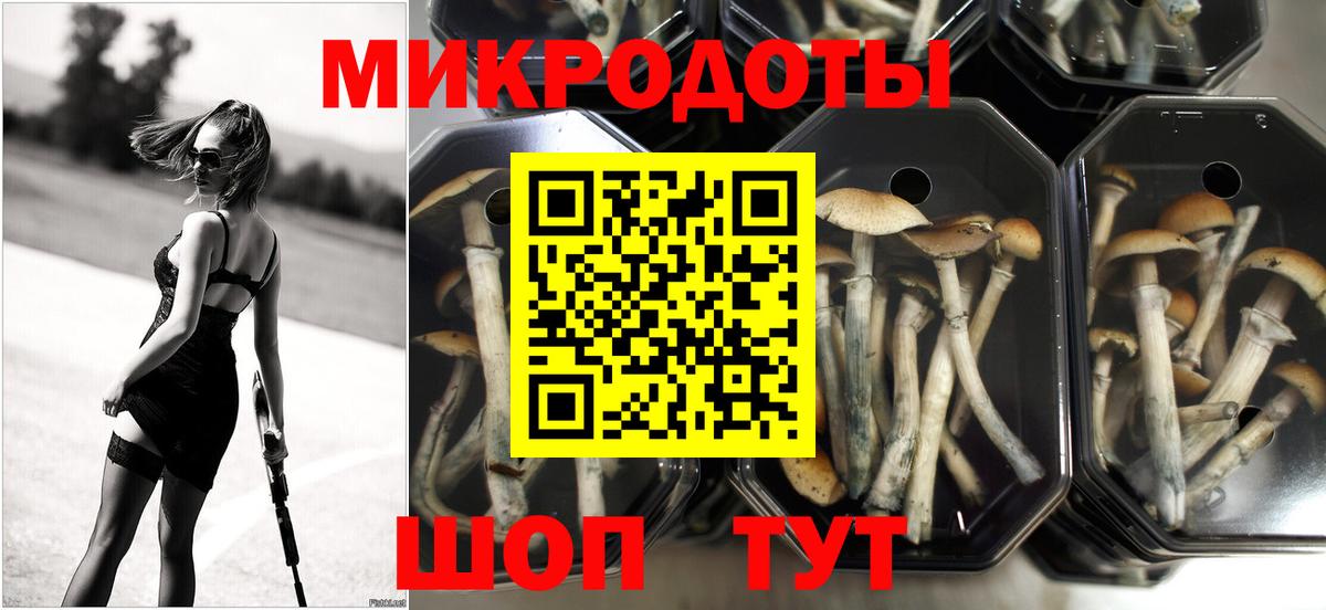 Галлюциногенные грибы Cubensis Рубцовск
